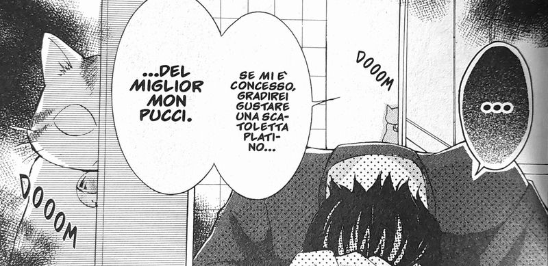 Cavolo Mon Pucci Cavolo Mon Pucci